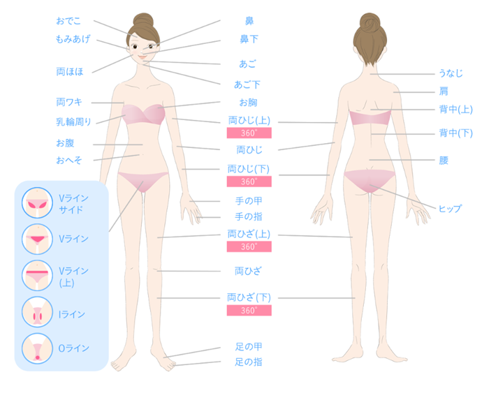 キレイモ 施術範囲