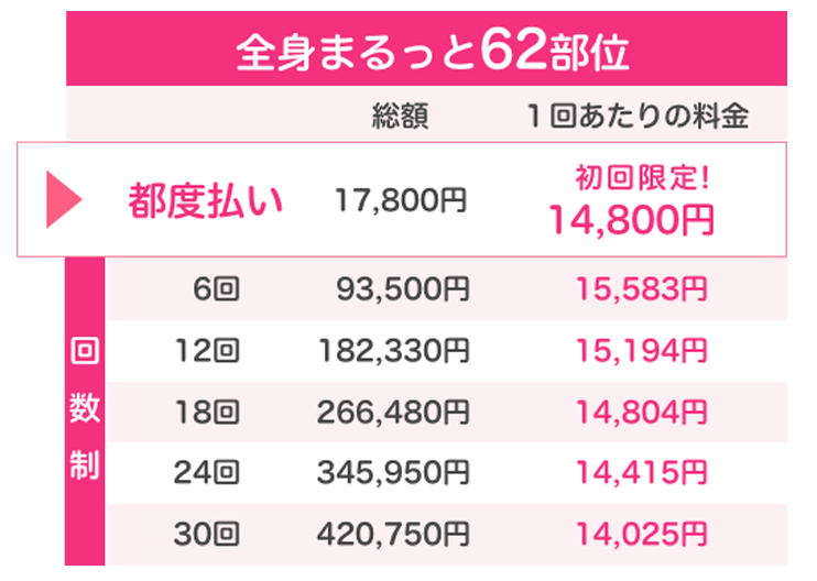 恋肌（こいはだ）　都度払い　料金　全身62部位